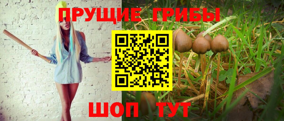 Псилоцибиновые грибы MAGIC MUSHROOMS Черкесск